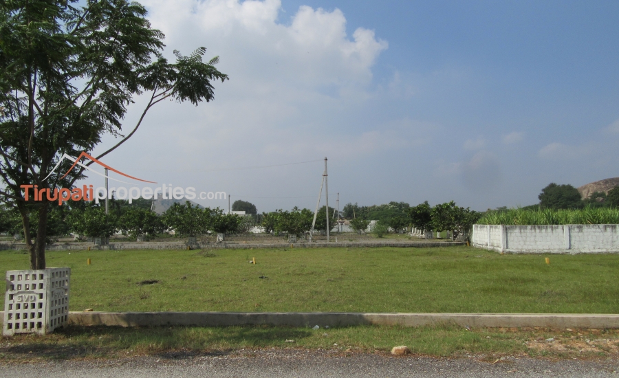 TUDA Approved Residential Plots Venture in Thanapalli, Tirupati